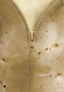 10組畫(huà)面誘人的美食創(chuàng)意海報(bào)